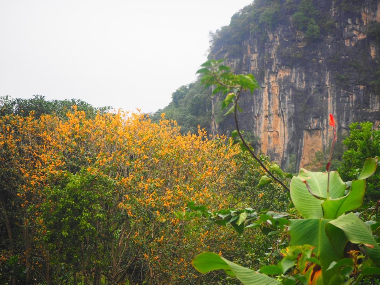 قويلين Yangshuo Moon Resort Hotel المظهر الخارجي الصورة