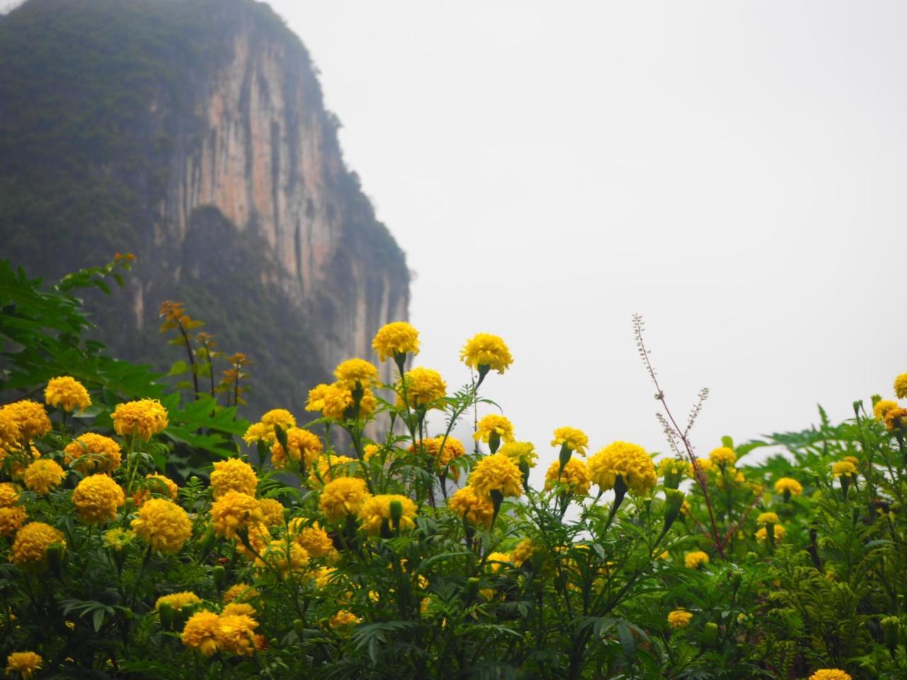 قويلين Yangshuo Moon Resort Hotel المظهر الخارجي الصورة